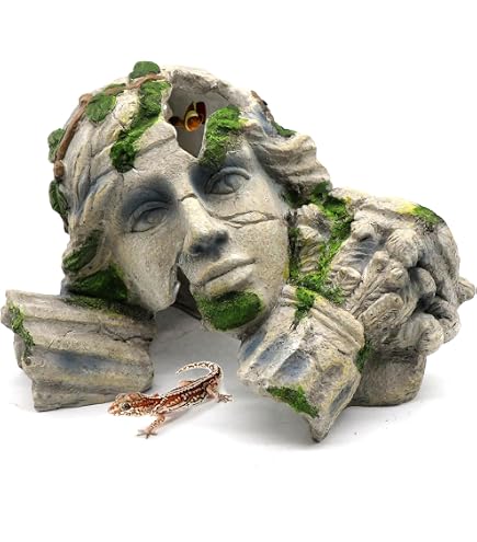 Amazon.com: imagitarium by Petco Resin Cambodian Ruin Aquatic